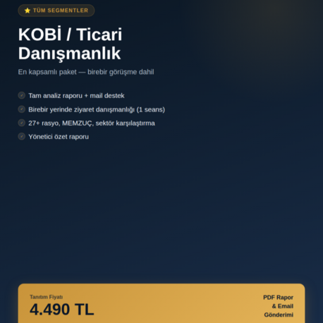 MüdürAI KOBİ / Ticari Danışmanlık