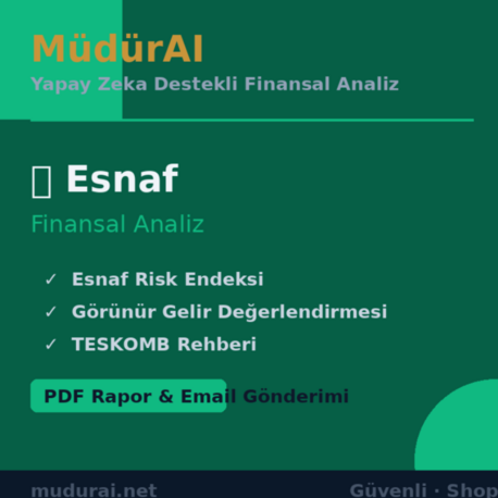 MüdürAI — Esnaf Finansal Analizi