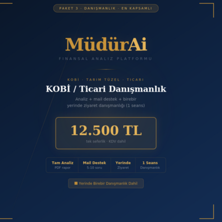 MüdürAI KOBİ / Ticari Danışmanlık