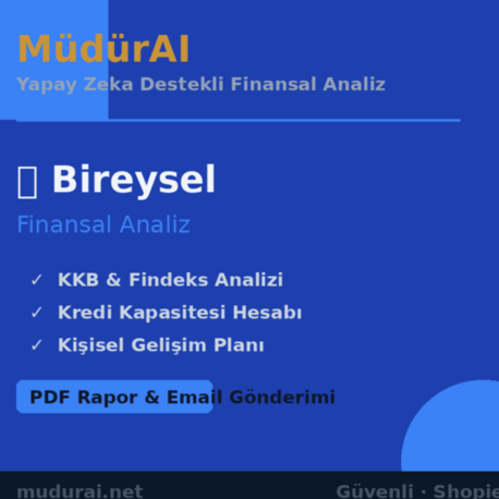 MüdürAI — Bireysel Finansal Analiz