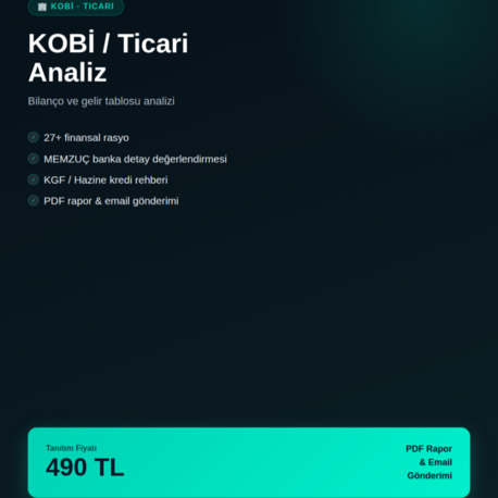 MüdürAI — Ticari Finansal Analizi