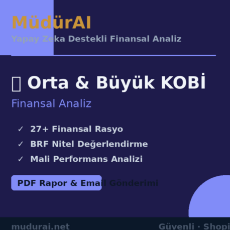 MüdürAI — Orta & Büyük KOBİ Finansal Analizi