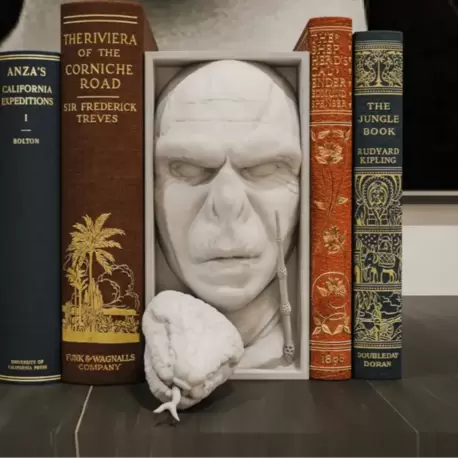 VOLDEMORT KİTAPLIK STANDI