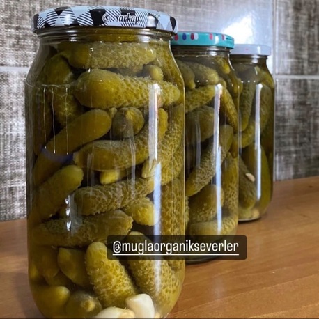1000cc cam kavanoz Kornişon salatalık turşusu 