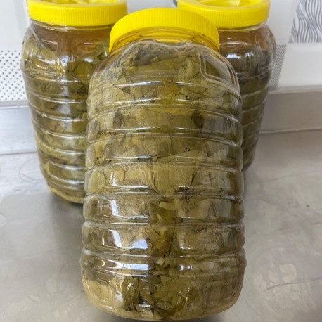 3Lük bidon salamura yaprak 