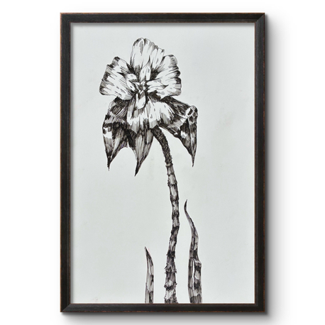 “ Yabani “ Flora