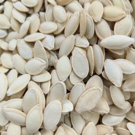 Kabak çekirdeği