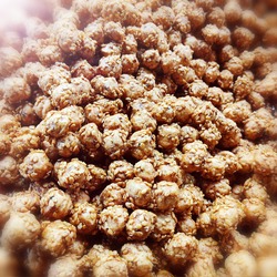 BALLI SUSAMLI MISIR ÇEREZİ 1KG