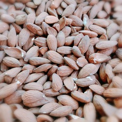 ÇİĞ BADEM 1KG