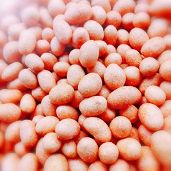 SOSLU FISTIK 1KG