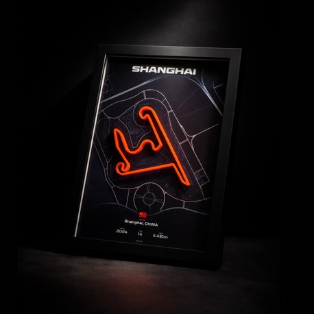 SHANGHAI INTERNATIONAL CIRCUIT 3D PİST TABLOSU