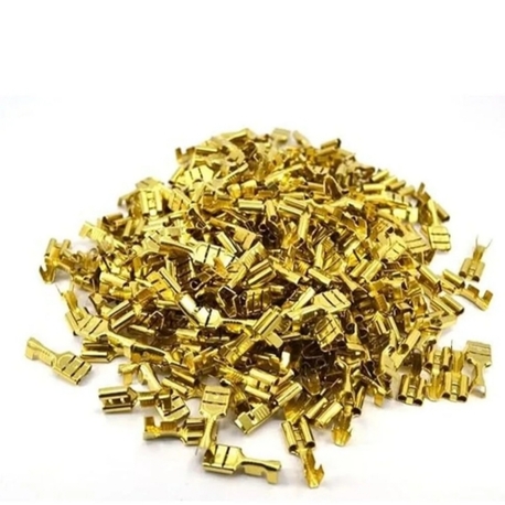 SARI DİŞİ FİŞ (10 ADET)