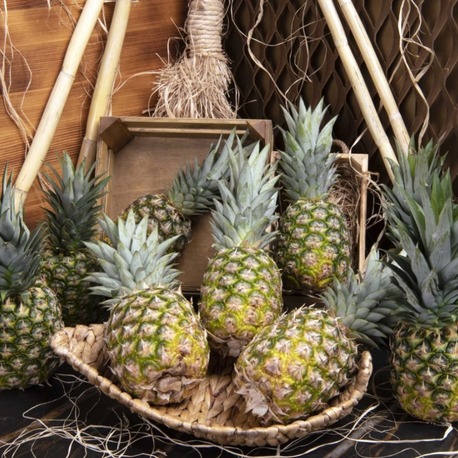Ananas (Adet)