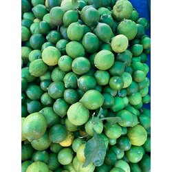  Limon (1KG) 