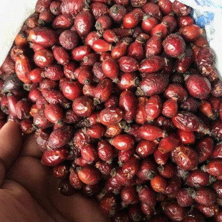 Kuşburnu (250GR)