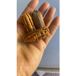 Pikan Cevizi (500GR)