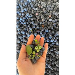 Yaban Mersini (250GR)
