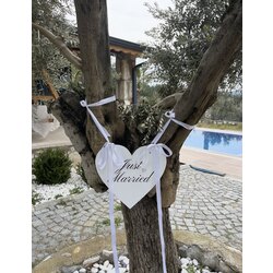 Kalpli Araba/Mekan süsü