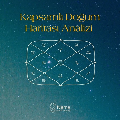 Kapsamlı Doğum Haritası Analizi