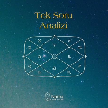 Tek Soru Analizi
