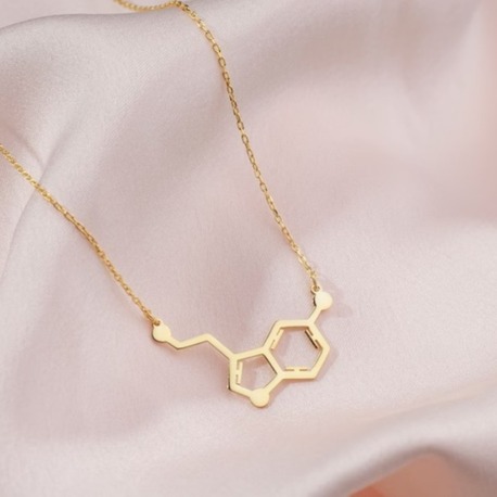 Navan 925 Ayar Gümüş Serotonin Molekülü Kolye