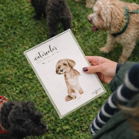 Suluboya Boyama Kitabı | Köpek