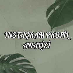 IG PROFİL ANALİZİ