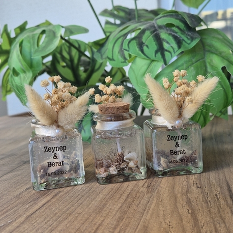 Seashell Anı Mumu