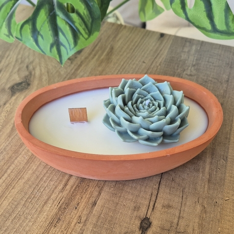 Terra Verde 3