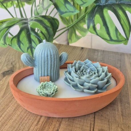 Terra Verde 2