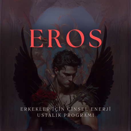 EROS: Erkekler için Cinsel Enerji Ustalık Programı