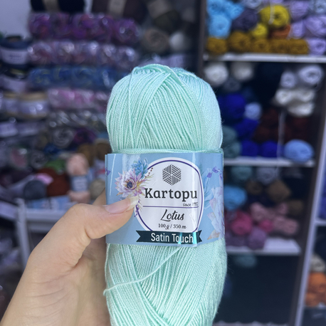 Kartopu Lotus K507