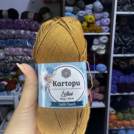 Kartopu Lotus K840
