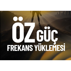 ÖZGÜÇ FREKANS YÜKLEMESİ