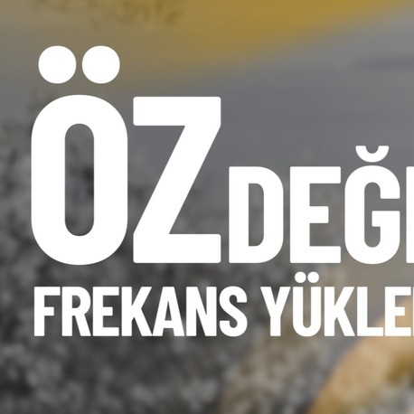 ÖZDEĞER FREKANS YÜKLEMESİ