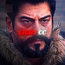 Night.aep Light CC