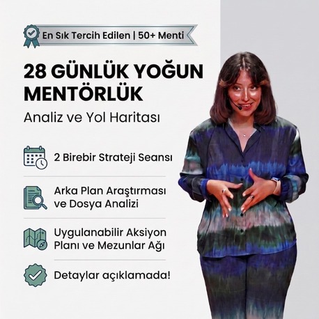 28 Günlük Yoğun Mentörlük: Analiz ve Yol Haritası