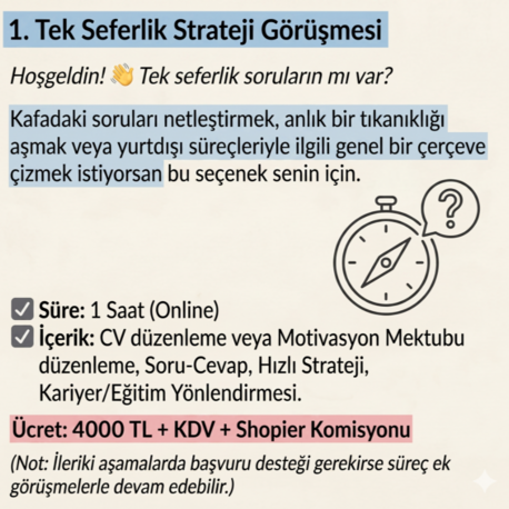 MENTORLUK 1#: Tek Seferlik Strateji Görüşmesi