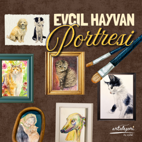 A5 Evcil Hayvan Portresi