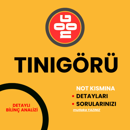 TINIGÖRÜ ( Detaylı Bilinç Analizi )