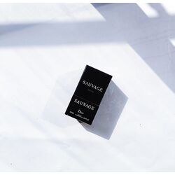 dior sauvage pour homme parfum 100 ml 