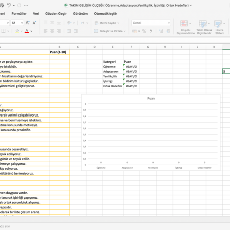 Takım Gelişim Ölçeği (Excel-Grafikli Sonuçlar)