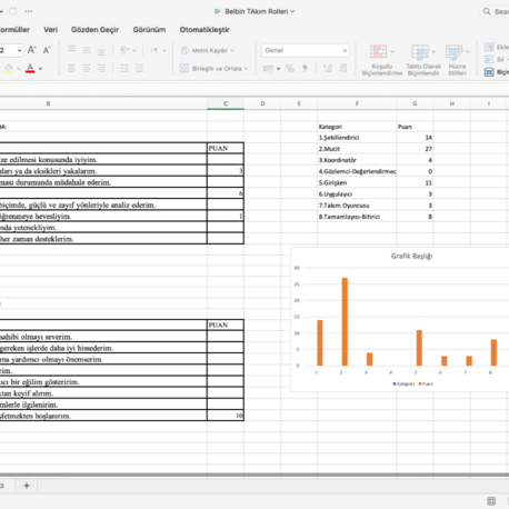 Belbin Takım Rolleri Ölçeği (Excel-Grafikli Sonuçlar)