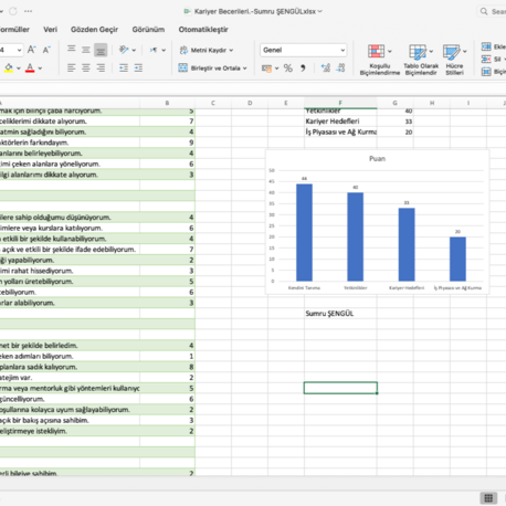 Kariyer Becerileri Ölçeği (Excel- Grafikli Sonuçlar)
