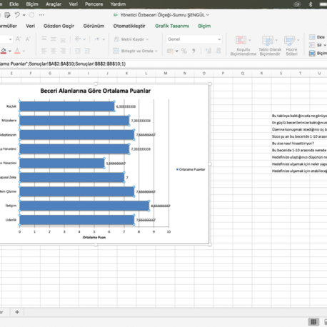 Yönetici Öz Becerileri Ölçeği (Excel-Grafikli Sonuçlar)