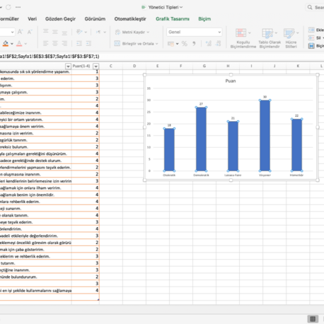Yönetici Tipleri (Excel-Grafikli Sonuçlar)