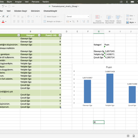 Transaksiyonel Analiz Ölçeği (Excel-Grafikli Sonuçlar)