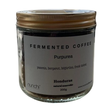 ANAOREBİK FERMENTED COFFEE-PURPUREA-200 GR