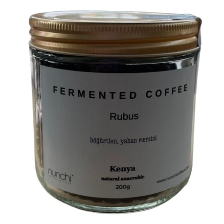 ANAOREBİK FERMENTED COFFEE-RUBUS-200 GR