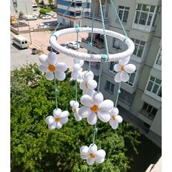 Papatyalı Dönence 